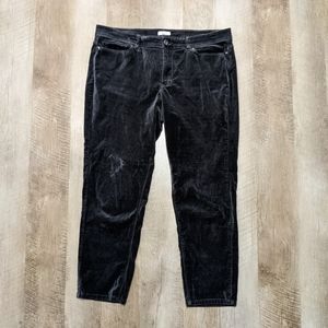 J. Jill Charcoal Gray Velvet Crop Pants